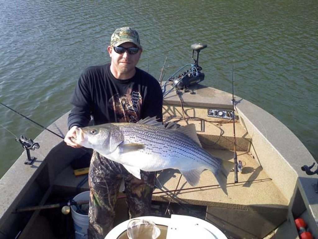 Capt. Cy with a large Stripped Bass