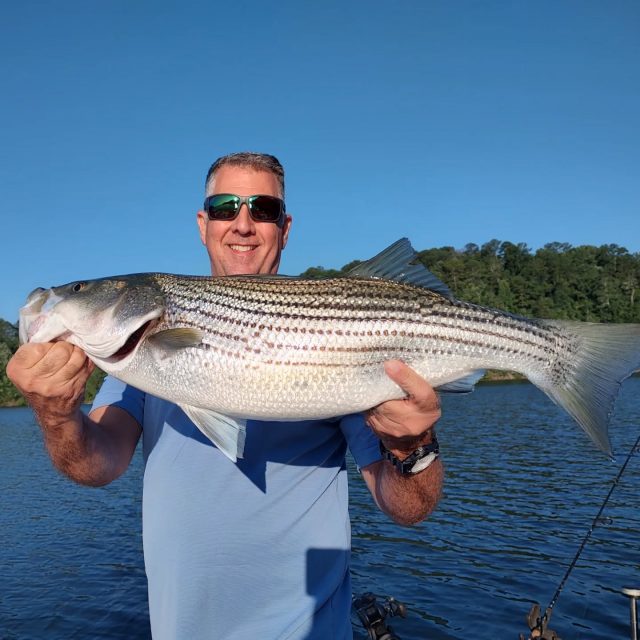 GUARANTEED FISH!!! Still have some openings for this weekend. Here's a couple of got this morning already on carters. Missed a while I also. Look at the teeth mark on this bait!