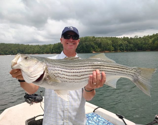GREAT DAY ON CARTERS LAKE THIS WEEKEND!  Here's a couple of the fish we got. Sad to say a couple pictures didn't turn out that these were some good ones. Had some really nice schools coming under us over 40 through 70 ft bottom. These fish just bury the rod! Can't wait to get up there again.  Lake Lanier is also fishing amazing. We are doing some afternoon trips up there. This is a great week for it with the cooler temperatures. Call to set your trip up. 770-815-9579

#atlanta #fishing #golf #lakelanier #stripers #adventure