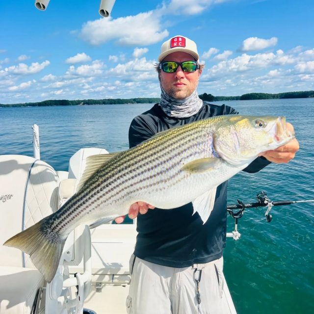Another great afternoon on lake lanier. These fish are really eating well during generation times. The weather's been amazing also. Still have some days open for next week. 770-815-9579 

#lakellanier #atlanta