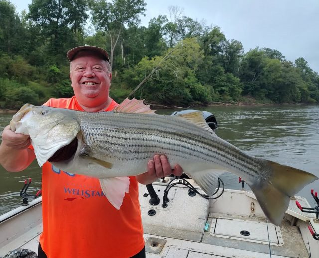 Brush them in the river again yesterday. We got a lot of fish on artificial lures, topwater and even some on a fly rod. August is a great month to get on the river as well as the lakes. Call to set your adventure up. 770-815-9579 #atlanta #fishing #stripers #adventure