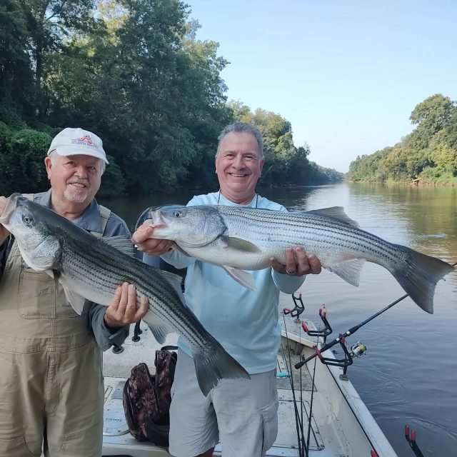 River was a little muddy from the rain today. Still probably ended up with around 40 fish. Down from our average but still a great day! You still have about three or four weeks to go to get in on this action if you're interested. 770-815-9579