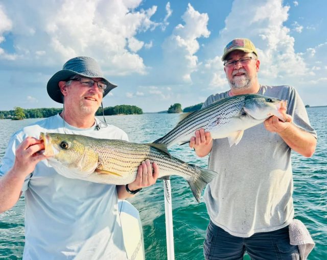 Another great day on the water! Both morning and afternoon trips going on right now. This one was on an afternoon trip. This bite should last in the afternoons for at least another 4 through 6 weeks. Call us at your trip up. 770-815-9579