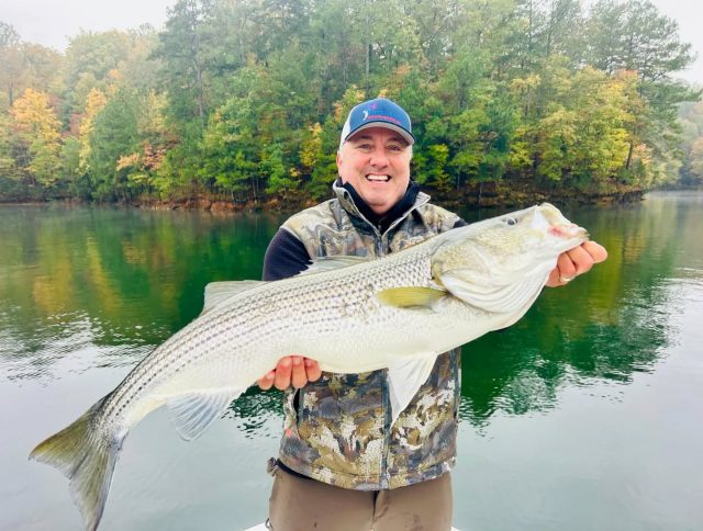 HAPPY BIRTHDAY BRIAN!  All he wanted for his birthday was a big striper. I think we accomplished that one! The cooler weather really has the big fish bite going on. I still have some openings for this weekend and next week. Call to set your trip up! 770-815-9579