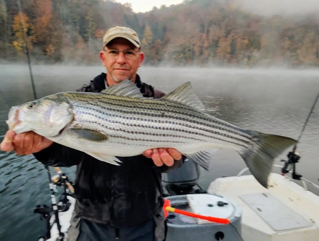 HOW COULD YOU NOT WANT TO GO TO CARTERS LAKE RIGHT NOW!  Look at these fish and the scenery. Truly an amazing time to be on the water! Still have some open days next week and the following weekend. Right now we are booked up through sunday. Call to set up your fall time adventure. 770-815-9579 

#fallcolors #carterslake #atlanta #fishing #stripers #adventure