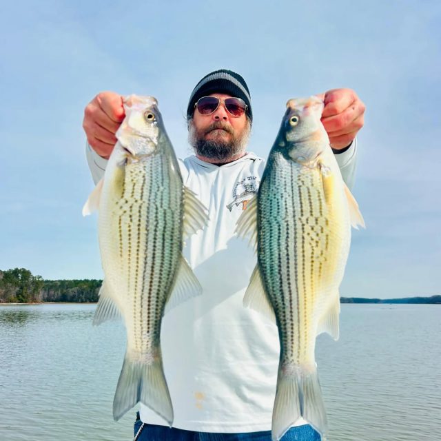 GUARANTEED FISH!! WEST POINT TRIPS!! MORNING AND AFTERNOON!! OPENINGS THIS WEEKEND!  This month we're going to be running trips down at West point guys. Lake Allatoona has gotten very difficult with the Shad kill and we are absolutely smoking them at West point.  We will only be down there for about a month so take advantage of it! Both morning and afternoon trips are producing amazing.  770-815-9579