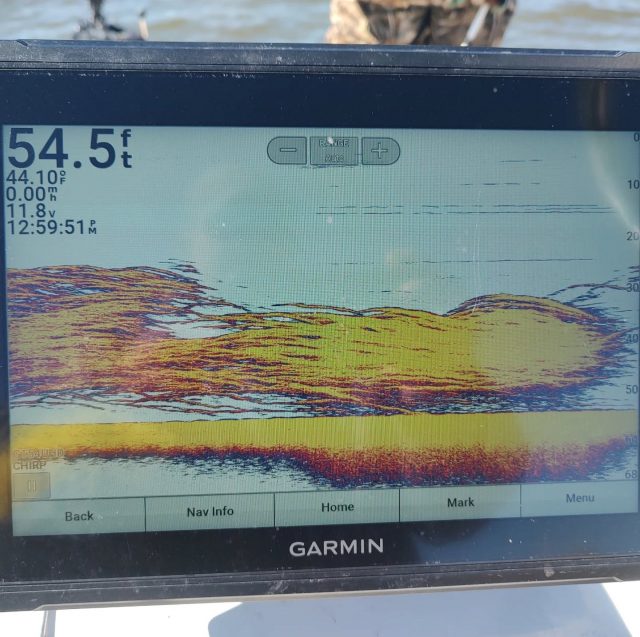 Look at this school of fish! What a day on the water! Weather is warming up and have openings this weekend. Call to set your day up. 770-815-9579