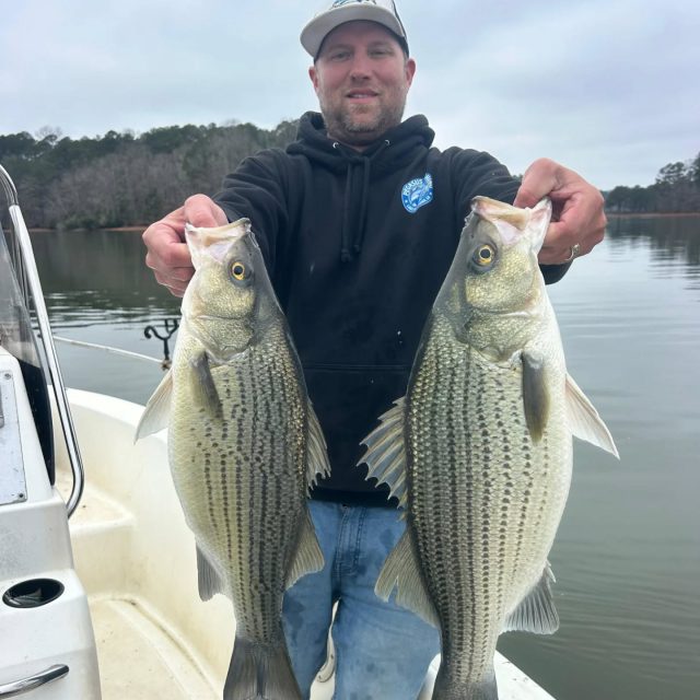 Smoke them again at West point. Man this lake fish is great in February and march! Still have some open days next week. Call to set your day up. 770-815-9579