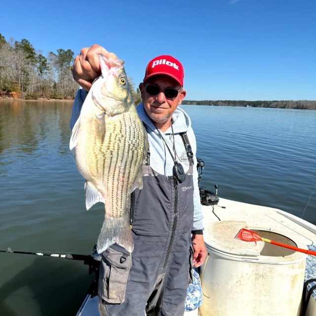 Any resemblance here? And before all the smart alec comments start. I'm talking about between the fish and Tommy boy not me!