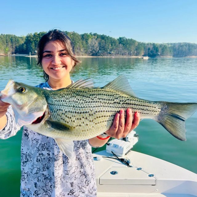 Spring football season! This is when the hybrids and stripers fatten up so much they look like footballs. Spring is here! Let's go fishing. Still have some openings this weekend. 770-815-9579