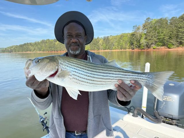 Just another great day on lake allatoona. Still have some openings for this coming weekend and next week. The weather is beautiful and so is the fishing! 770-815-9579