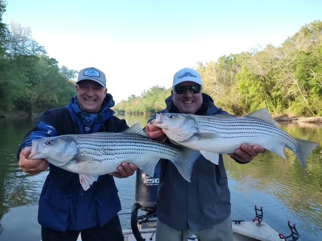 THE RIVER IS ON FIRE!  The numbers of fish have moved up and the big ones are on their way. They should be up there in the next week or so. Over the next month will be some of the best striper fishing in the world! Still have some open days if anybody's interested. 770-815-9579