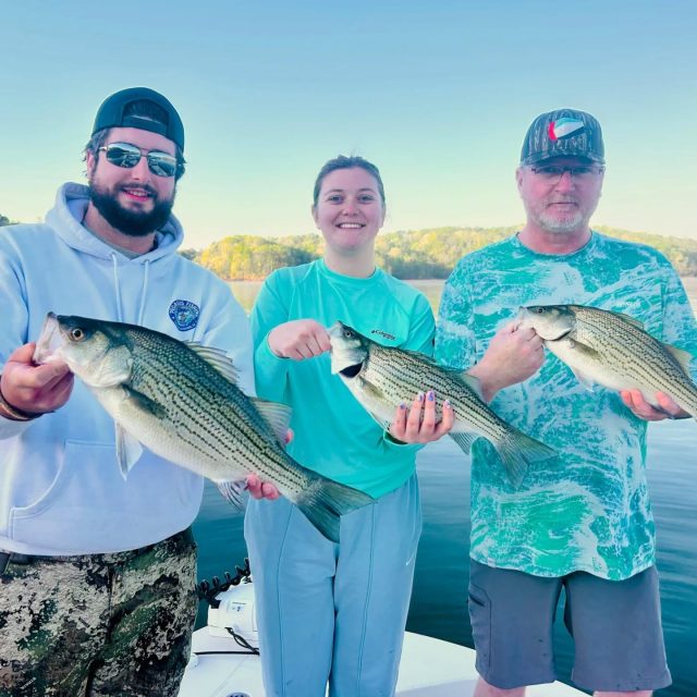 OPENINGS THIS WEEKEND! THE FISHING ON LAKE ALLATOONA AND LAKE LANIER IS AMAZING RIGHT NOW!  How do we had a trip cancel out so if you would like the day give me a call. 770-815-9579