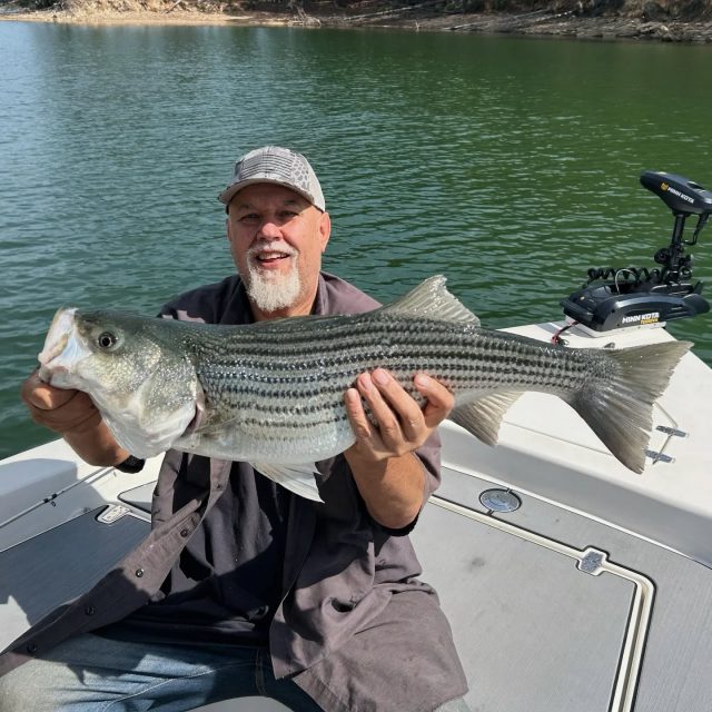 Got some quality fish on lake Allatoona yesterday! Still have a boat open sunday. Only a very slight chance of rain. Should be perfect fishing conditions! 770-815-9579