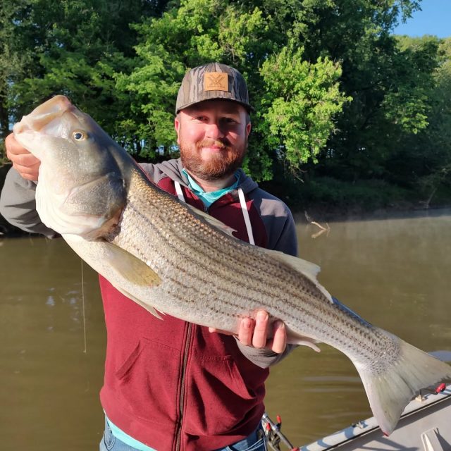 GUARANTEED FISH! OPENINGS THIS WEEKEND!  Here's a couple more we got on the water two days ago. Man these fish are pulling hard and ready to spawn. Call to set your day up. 770-815-9579