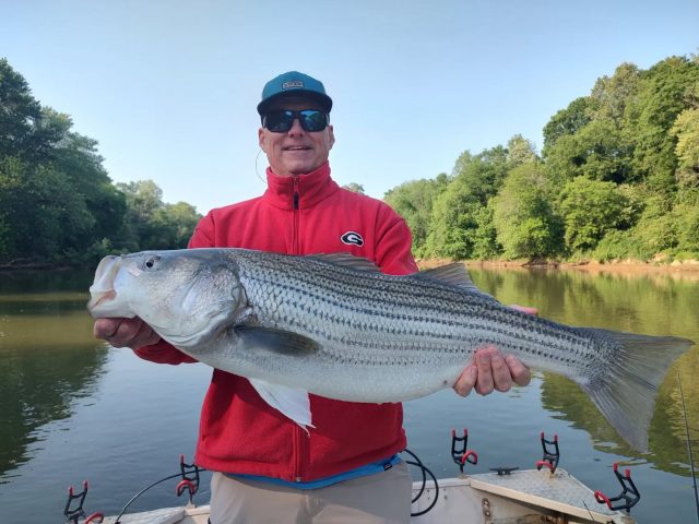 OPENINGS THIS WEEKEND!!! Here's a couple from yesterday. 770-815-9579