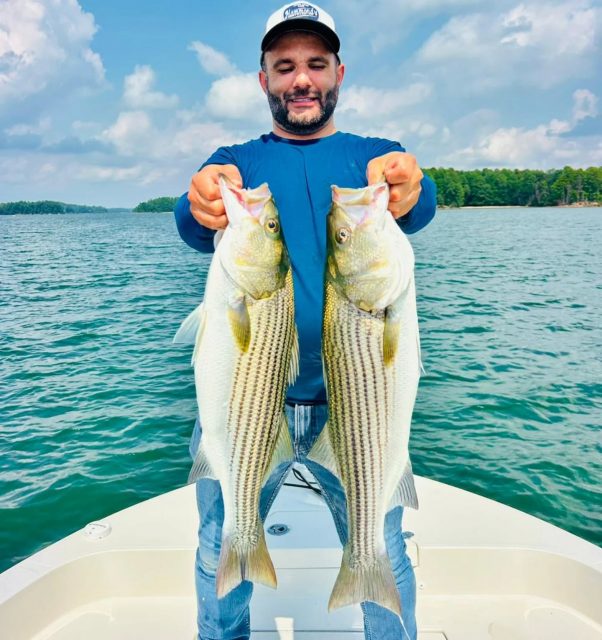 In between lake Lanier and the river we've been doing amazing! Still been doing a couple trips on carters lake and lake allatoona. However with the bite on the river and Lanier we've been pushing trips that way. Clients are happy we are! LOL call to set up your adventure. 770-815-9579