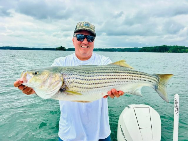 What a day what a day! The afternoon trips are still producing better on lanier. But this was one from the morning. If you have the ability still choose afternoon to fish that body of water. Still have some days available this week coming up and over the weekend. Call to set your day up. We're catching fish in the river, lake lanier, carters lake and lake allatoona. 770-815-9579