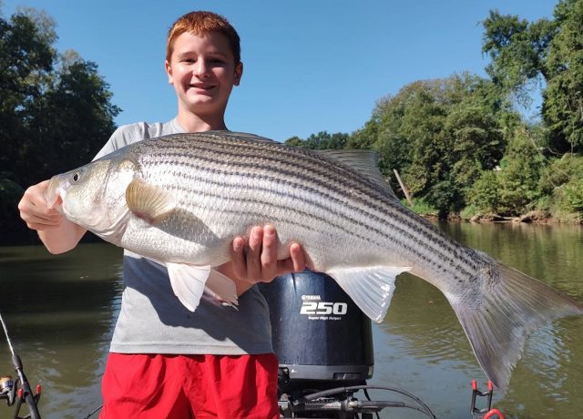 Hit the river yesterday and got all kinds of personal best! His biggest striper, biggest hybrid and biggest largemouth! Still have a week or two on the river if anybody's interested. 770-815-9579 

#atlanta #fishing #football