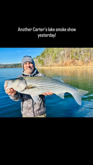 SMOKED THEM AT CARTER'S AGAIN YESTERDAY!  We are even catching them in the afternoon guys. If you don't want to go in the morning because of the weather we could get out later in the day. 770-815-9579