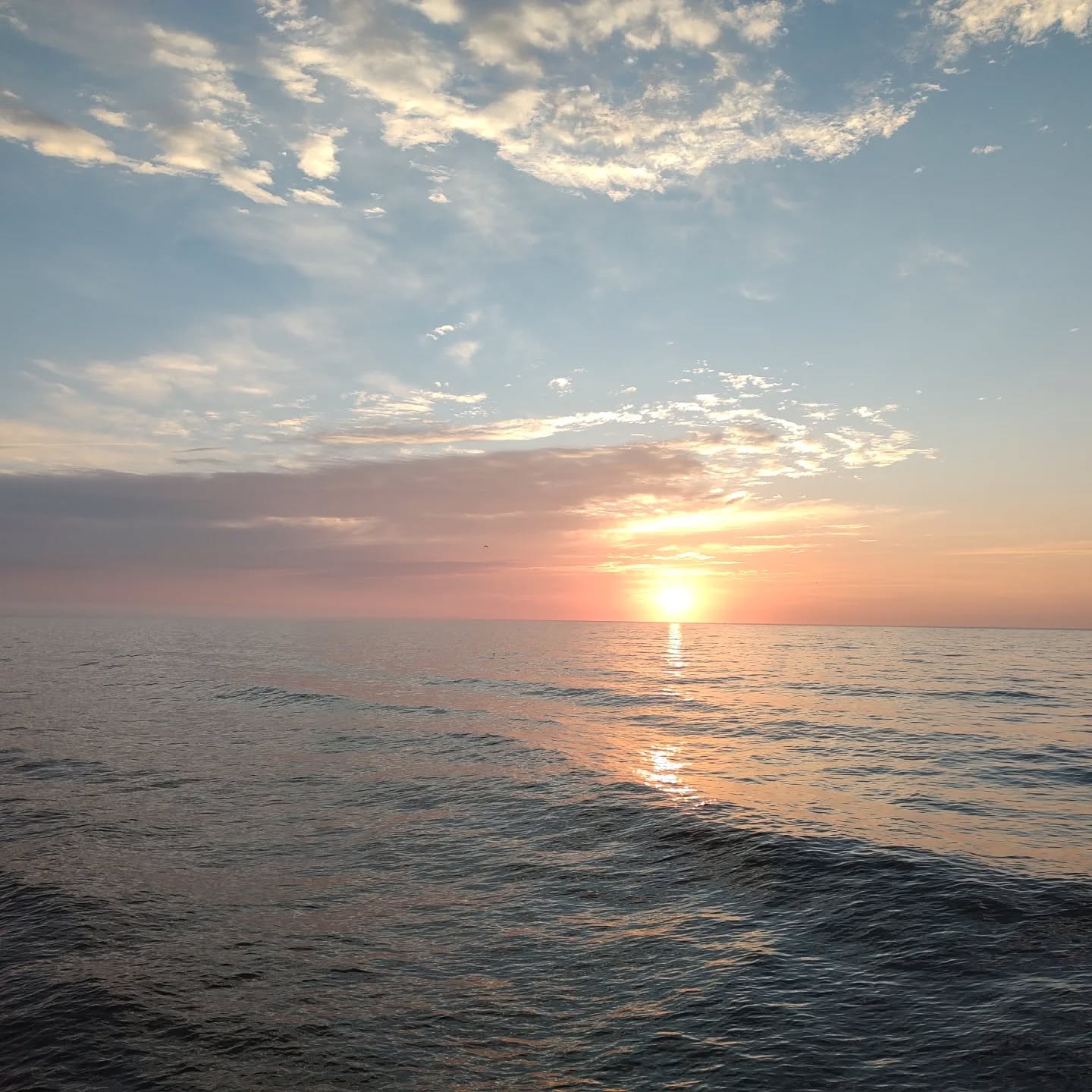 Happy Thanksgiving!!! I am truly blessed with the life I have.  I love what I do!!