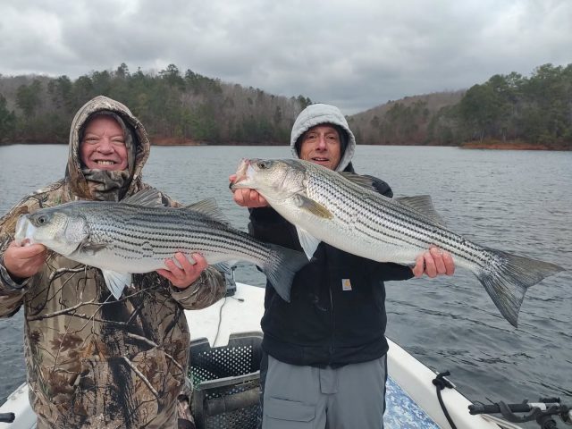 Another great day on carters lake! I didn't get pictures of all the stripers. My phone was messing up. We caught a bunch of stripers, flatheads, blue cats, channel cats, hybrid and a bunch of spotted bass. The only thing we we're missing was the walleye. Next time we'll get that one! LOL still have some open days over the weekend and next week if anybody's interested. 770-815-9579