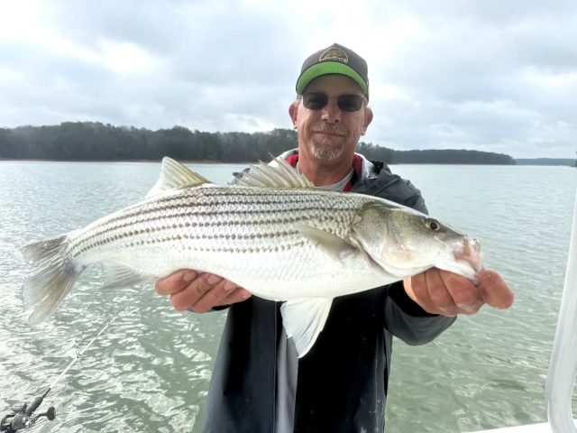 GUARANTEED FISH! OPENING THIS SUNDAY!  We had a trip canceled for this Sunday so we have a boat available. The weather should be awesome in fishing should be great. Call to set your day up. 770-815-9579