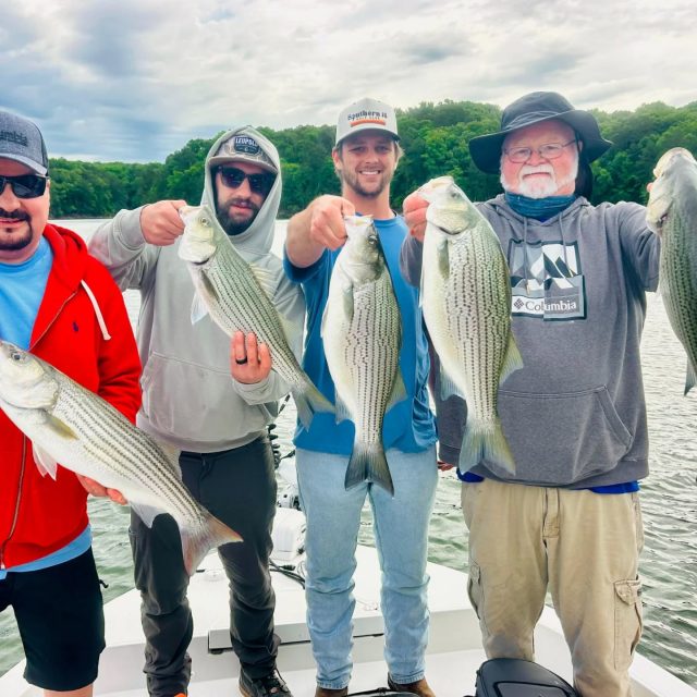 AVAILABILITY TOMORROW! LAKE ALLATOONA IS ON FIRE!  We are completely crushing them out there now guys! This is the best bite we've seen in years. Just a ton of nice fish. Had a cancellation for tomorrow. Call to take advantage of it. 770-815-9579