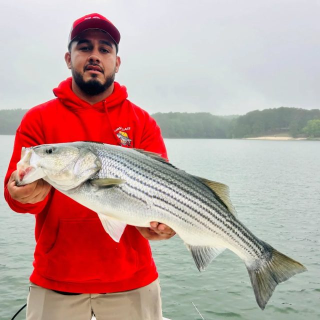 GUARANTEED FISH!  And why wouldn't we? This is what we did out there yesterday. The bite on Lake Allatoona is absolutely amazing! Still have some days open this weekend next weekend. Call to set your day up. The fishing and the weather are awesome! 770-815-9579