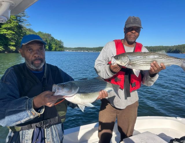 The amazing bike continues out there on Lake allatoona! I mean honestly, it really can't get much better. It will stay this good though for the next couple months though. Grab those kids and let's go fishing. 770-815-9579