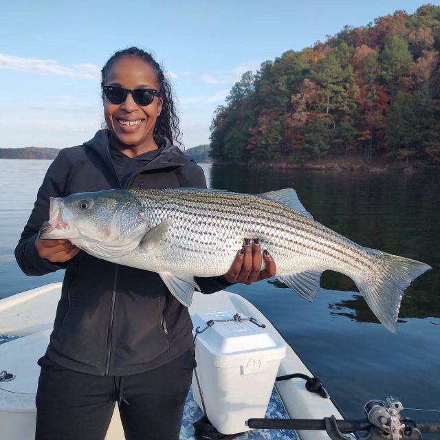 Another great birthday trip! All Larry asked me to do was to put his daughter on a big one for her birthday. Mission accomplished! This colder weather has really got the big fish feeding. Over the next month or two is a great time to get out and chase some big ones. On lake Allatoona the hybrids and stripers have screwed up and are feeding on big schools of bait as well. Put on an extra layer and let's go fishing! 770-815-9579