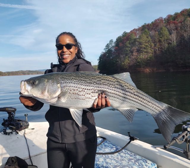GUARANTEED FISH!  OPENINGS OVER THE HOLIDAY! MORNINGS AND AFTERNOON.  Had this group out again yesterday. Here's a couple more beautiful fish from Carter's lake!  Over the holiday break will be doing morning trips to carters lake and on lake Allatoona morning and afternoon trip. Call to set up your adventure.  770-815-9579