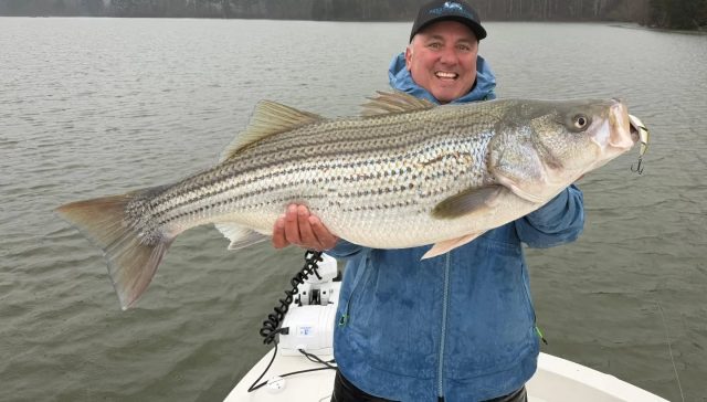 NEW YEAR MONSTER!!!! CONGRATULATIONS BRIAN! Starting off the new year with a true giants!  What a fish to catch on a topwater lure. 2026 is looking great!