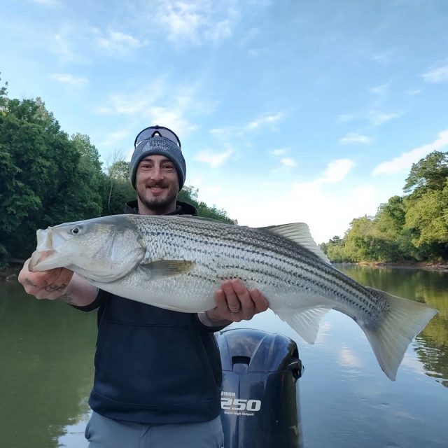 GUARANTEED FISH! WE HAVE AVAILABILITY THIS SUNDAY!  I took Adam and Ken to the river the other day. Adam definitely won big fish honors! Although he had one much larger break his heart. Got into a tree and just kept going. I guess the only thing I want was species award. I got this monster Bass, some stripers and the drum. Ken sat somewhere in the middle of us with bigger fish than me and more stripers. We've got some availability this sunday! Call to set your day up. 770-815-9579