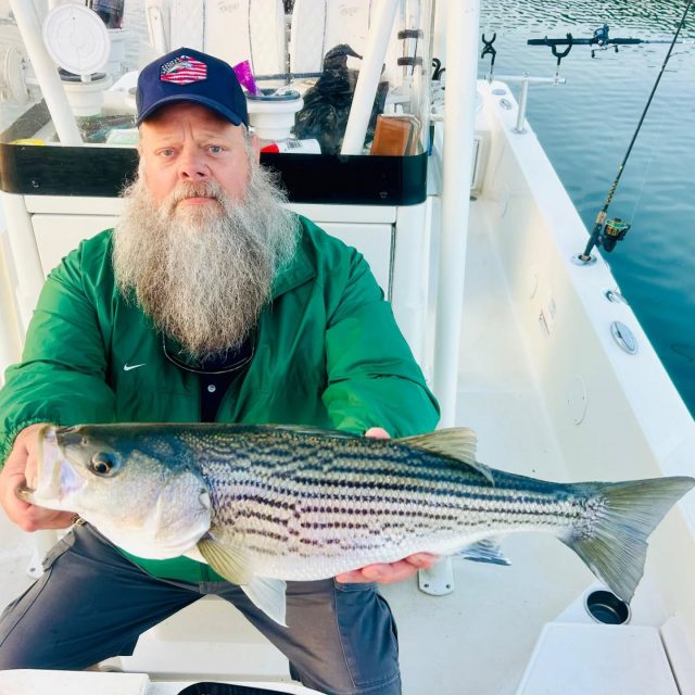 GUARANTEED FISH, OPENING THIS WEEKEND.  Here's some very beautiful stripers from lake allatoona.  We have one boat available this weekend and a couple days next week available if anybody's interested. 770-815-9579